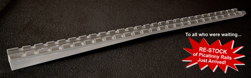 Picatinny Rail